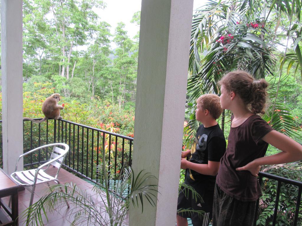 Hanthana Holiday Rooms Kandy Exterior foto